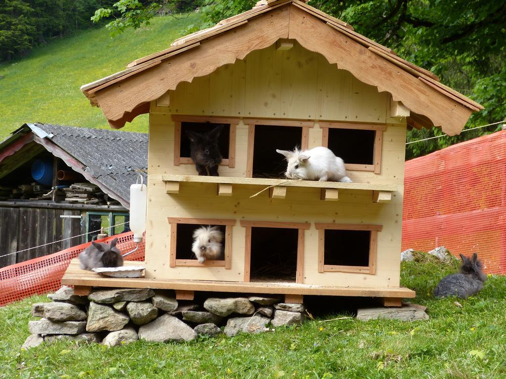 Schieplechnerhof Apartment *