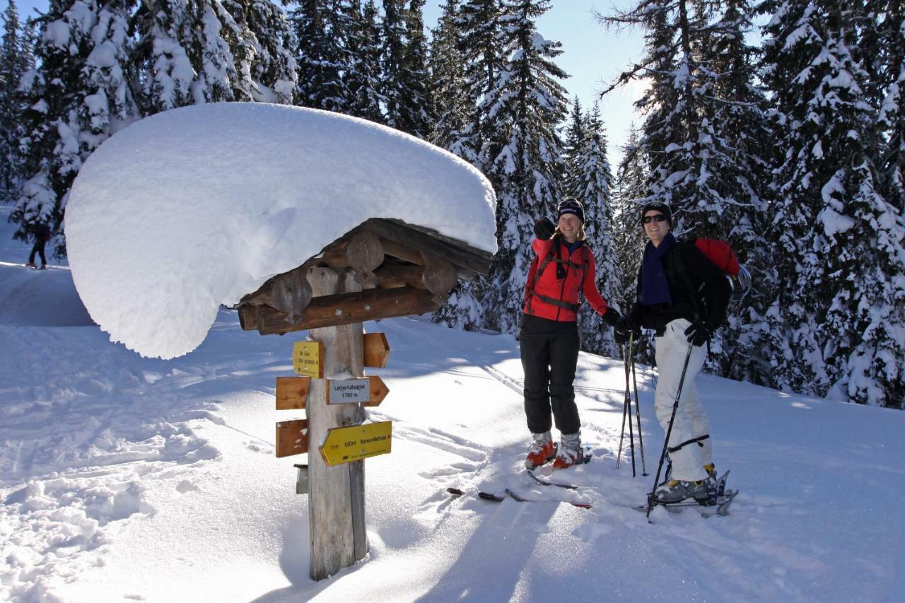 Schieplechnerhof * Schladming