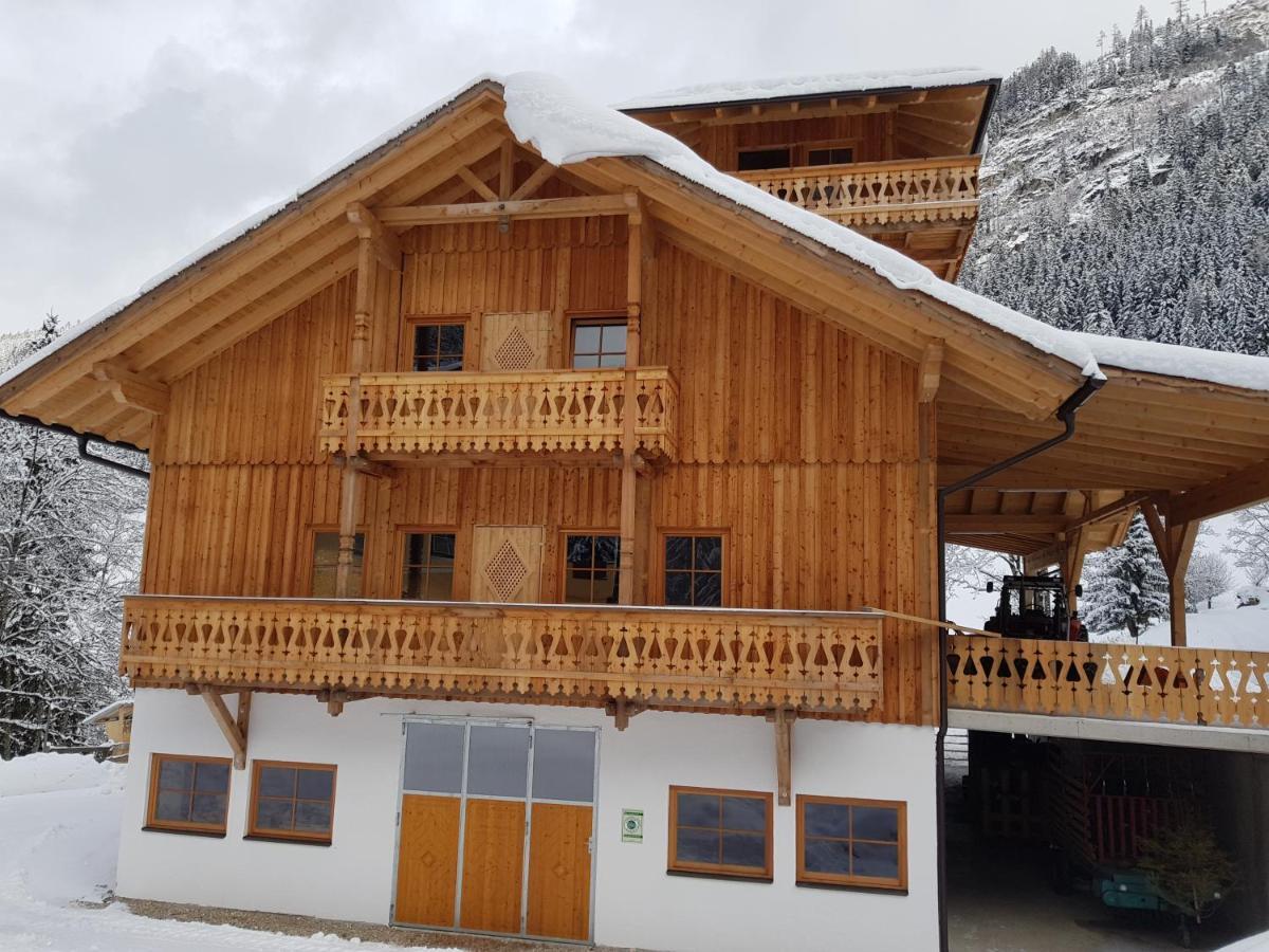 Apartment Schieplechnerhof *